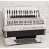 Accordion Weltmeister Topas IV 96 basses